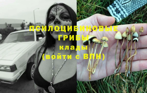 экстази Лиски