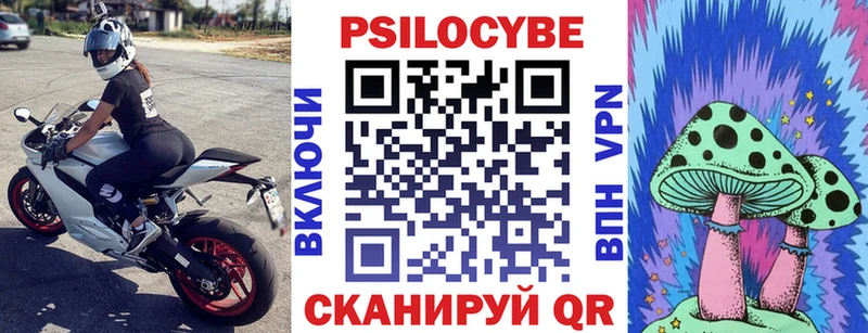 Купить где  Советский  Псилоцибиновые грибы прущие грибы 